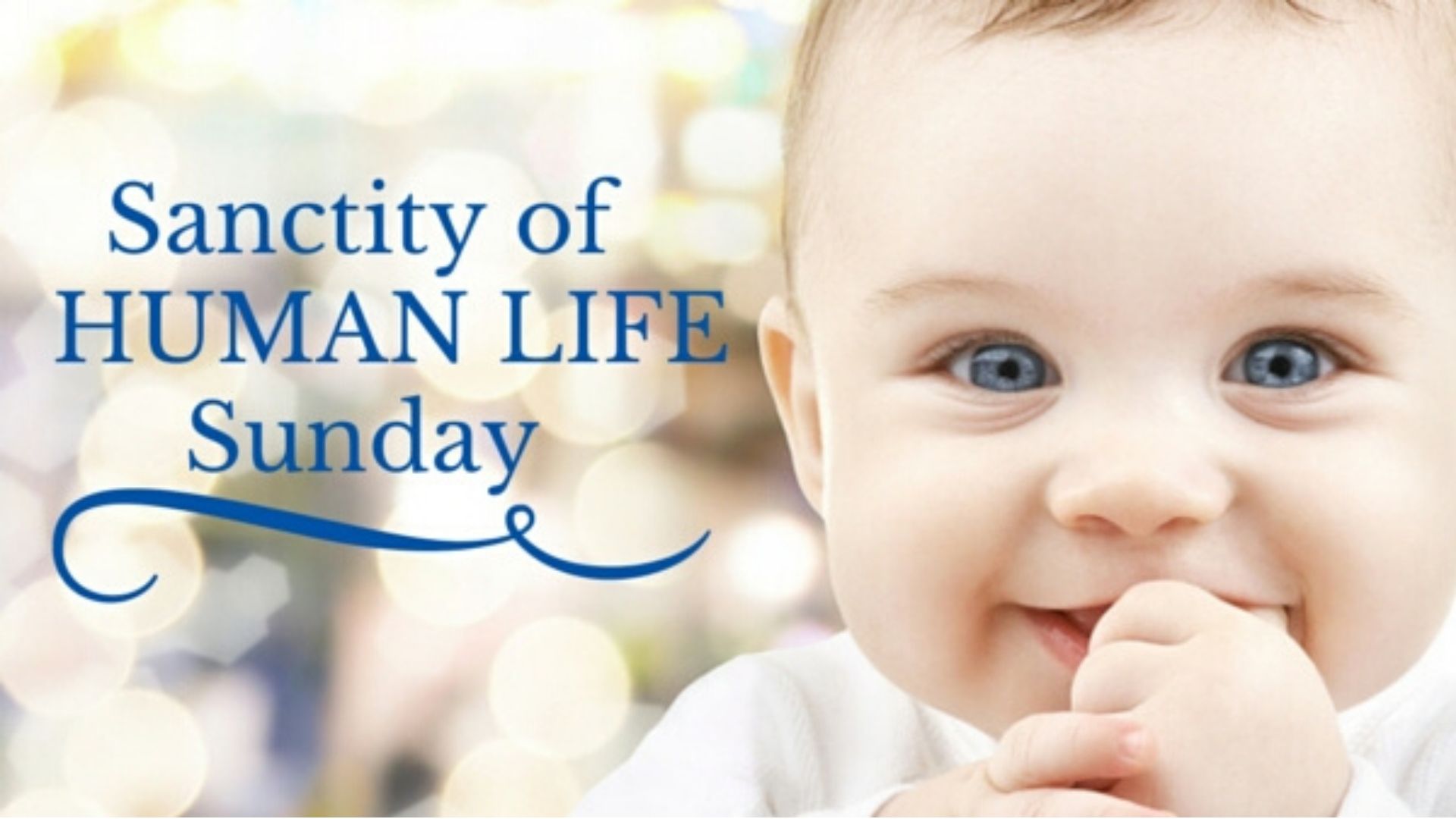 This Sunday is Sanctity of Human Life Sunday The Fount